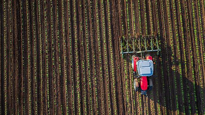 Agriculture : en finir avec la PAC ?